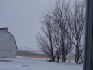 DSC03848_544x408.jpg